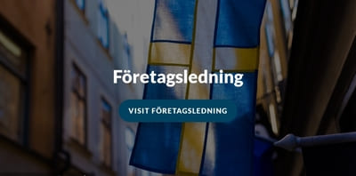 Chefsrekrytering av VD och Styrelse Hyrpersonal